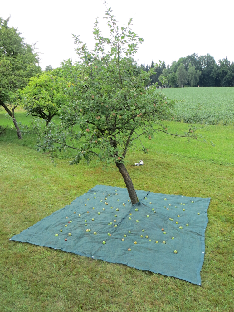 Erntenetz 4x4m dunkelgrün, Anwendungsbeispiel